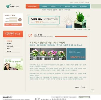 女性護理設(shè)計網(wǎng)頁與網(wǎng)站模板 關(guān)鍵要素與視覺策略