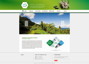 探秘網(wǎng)頁設(shè)計(jì)之美 從企業(yè)官網(wǎng)到ZCOOL社區(qū)